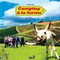 CAMPING A LA FERME
